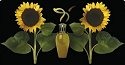 Fragrance