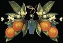 Fragrance