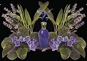 Fragrance