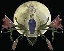 Fragrance