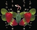 Fragrance