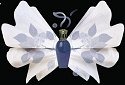 Fragrance