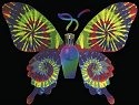 Fragrance