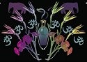 Fragrance