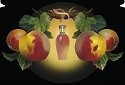 Fragrance