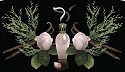 Fragrance