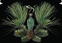 Fragrance