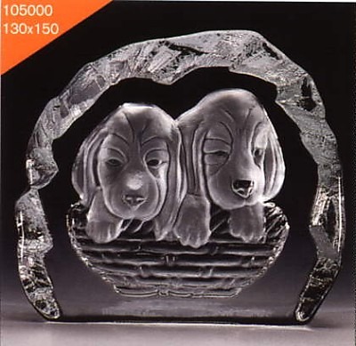 Dogs