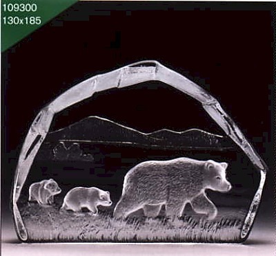 Bears