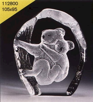 Koalas