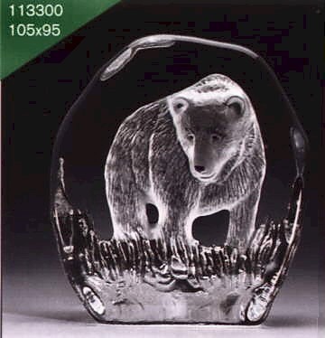 Bears