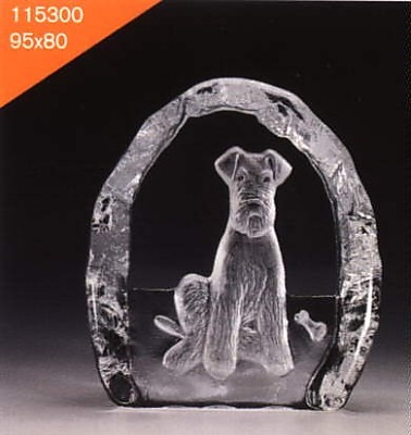 Dogs
