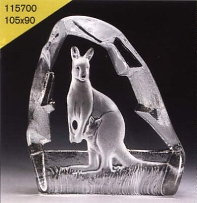 Kangaroos