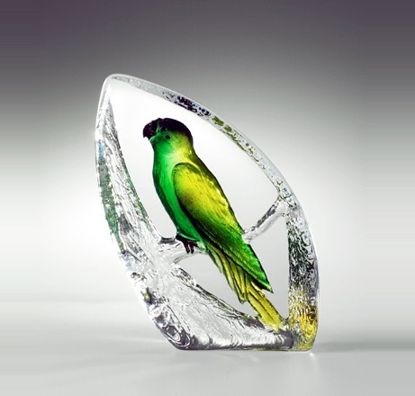 Birds