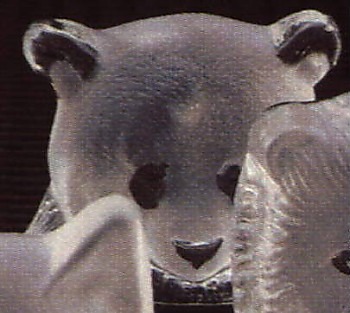 Panda Bears