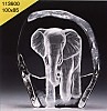 Elephants