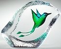 Birds