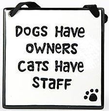 Dogs