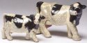 Cows