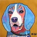 Dogs