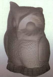 Owls