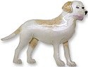 Dogs
