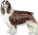 Dogs