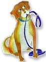 Dogs