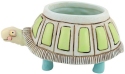 Allen Designs ADDB1974 Baby Myrtle Turtle Planter Set of 3