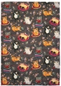 Allen Designs ARTT2001 Crazy Cats Cat Tea Towels Set of 4