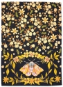Allen Designs ARTT2017 Moth Black Tea Towels Set of 3