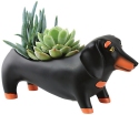 Allen Designs DB2076 Baby Otis Dachshund Dog Planter Set of 3