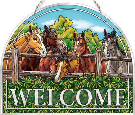 Amia 42603 Morning Meeting Welcome Panel