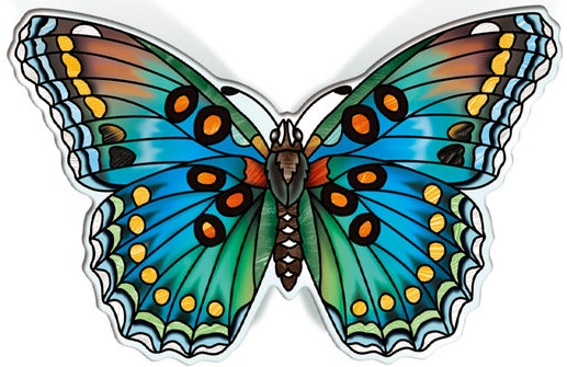 Amia 42839 American White Admiral Magnet