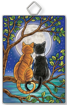 Amia 42916 Looking At The Moon Rectangle Suncatcher