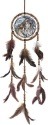 Amia 42640i The Dream Creates Journey Dreamcatcher