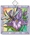 Amia 42936 Dragonfly and Irises Square Suncatcher