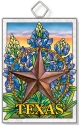 Amia 42948 Blue Bonnet Texas Star Rectangle Suncatcher