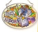 Amia 6775 Iris Ardor Small Oval Suncatcher