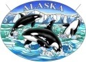 Amia 7453 Alaska Orcas Large Oval Suncatcher
