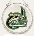 Amia 7530 University of NC Charlotte UNC 49ers Beveled Medium Circle Suncatcher