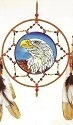 Amia 9601i Eagle Dreamcatcher