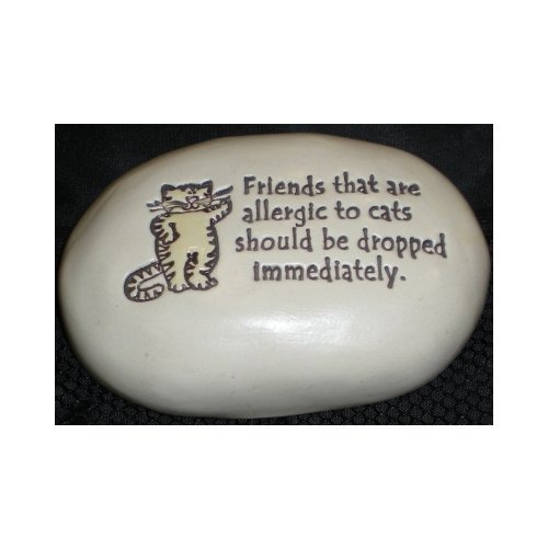 Special Sale SALER224 August Ceramics R224 Rock - Friends who are allergic to cats should be dropped immediately