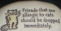 August Ceramics R224 Rock - Friends who are allergic to cats should be dropped immediately