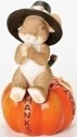 Charming Tails 30393 Mouse On Pumpkin Fig