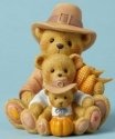 Cherished Teddies 4053448 Theodore Samantha Ty Figurine