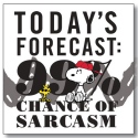 Peanuts by Department 56 6002599 99 Percent Chance of Sarcasm magnet