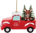 Rudolph by Department 56 6009078 Rudlp Tree Delivery Ornament Hanging Ornament