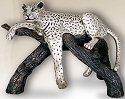 Animals - Leopards