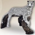 D'Argenta 8024 Leopard by Ricardo del Rio